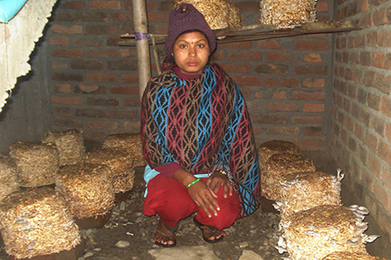 Mushroom farming is changing lives in Kusma Mushroom farming is changing lives in Kusma
