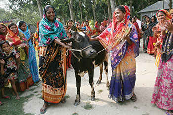 Rokiya Begam (above, left) passes on the gift of a cow to a new participant at a ceremony in Joari, Bangladesh. The Song of a New Life in Bangladesh