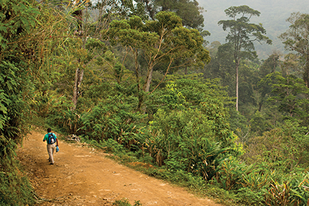 Because the cardamom and coffee crops aren’t enough to support his family this year, Miguel Xo Pop makes the long journey to work on a melon farm. Because the cardamom and coffee crops aren’t enough to support his family this year, Miguel Xo Pop makes the long journey to work on a melon farm.