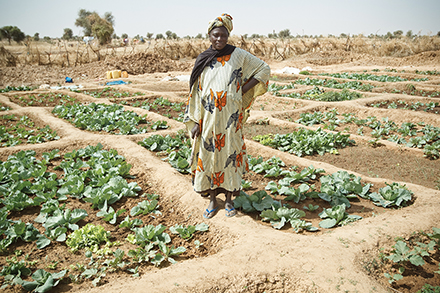 Fatou Mata Juide Ba uses well water to grow her vegetables in Bonjisinthiang Village, Senegal. Fatou Mata Juide Ba uses well water to grow her vegetables in Bonjisinthiang Village, Senegal.