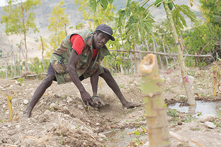 Water is precious in Tranquille, so Eder Exantus channels runoff from a tap to irrigate his garden. Water is precious in Tranquille, so Eder Exantus channels runoff from a tap to irrigate his garden.