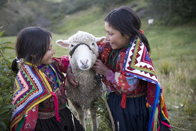 Impact in Peru Impact in Peru