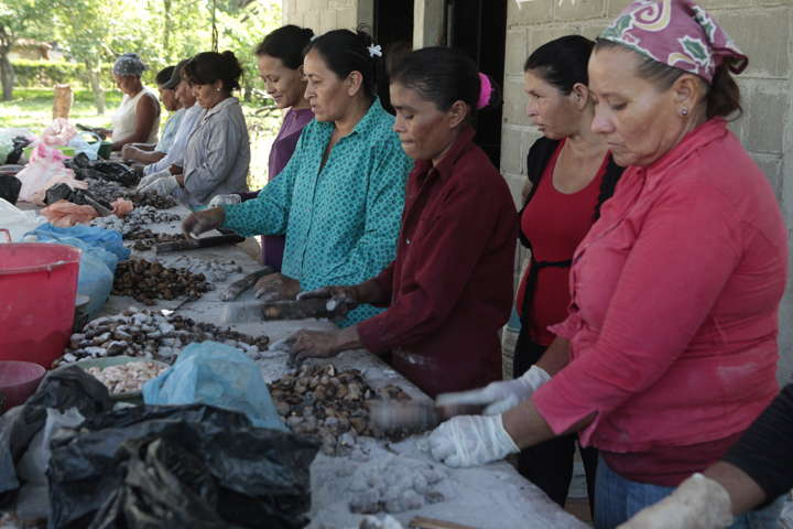 Promotion of Food Sovereignty Honduras. Photograph by