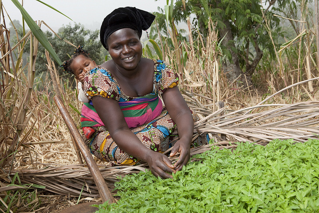 Heifer Top 100 NGOs Heifer Top 100 NGOs