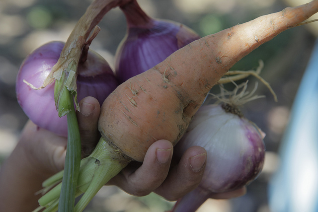 Avoiding Food Waste Avoiding Food Waste