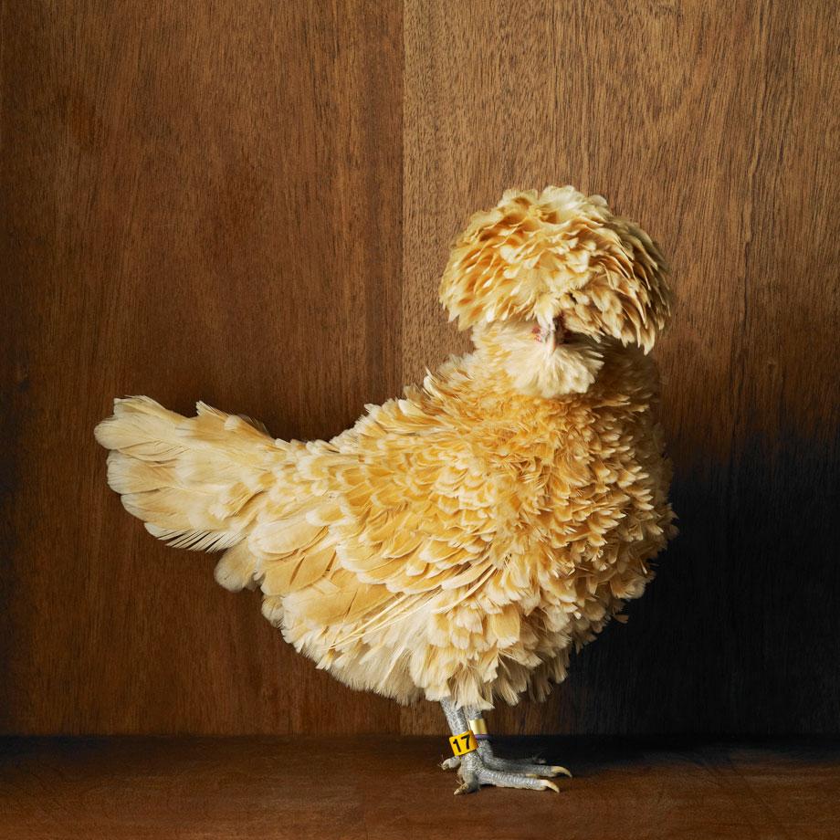 Photo by Tamara Staples. Click image for full story.