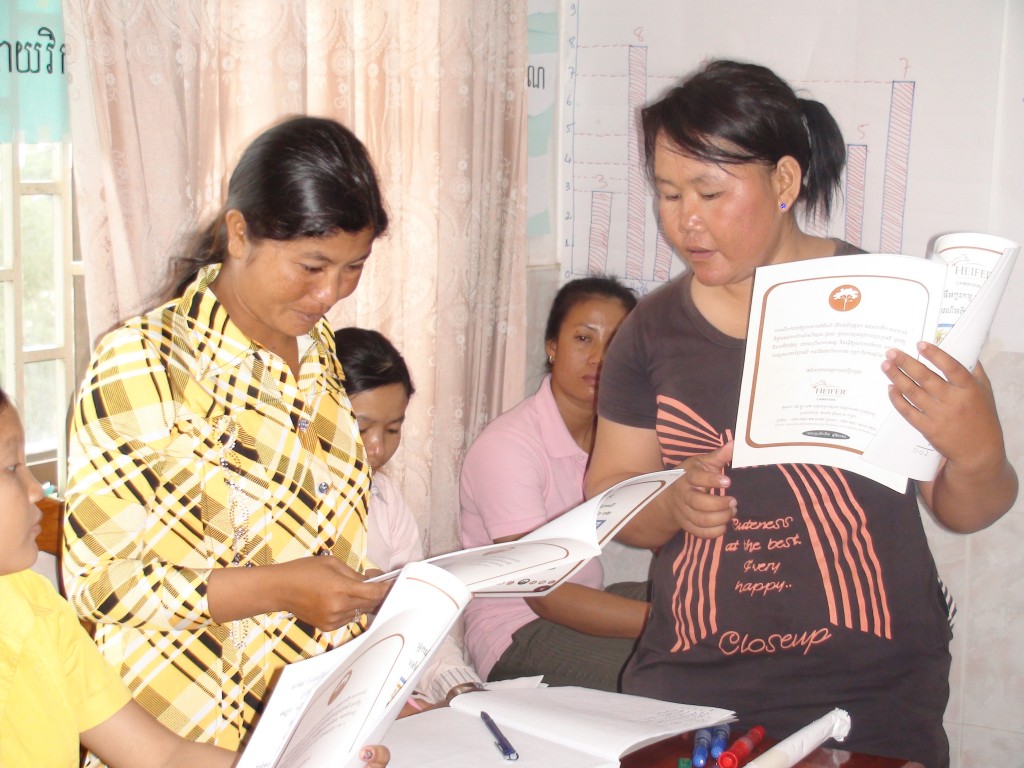 Reoun Theourk, Heifer Cambodia